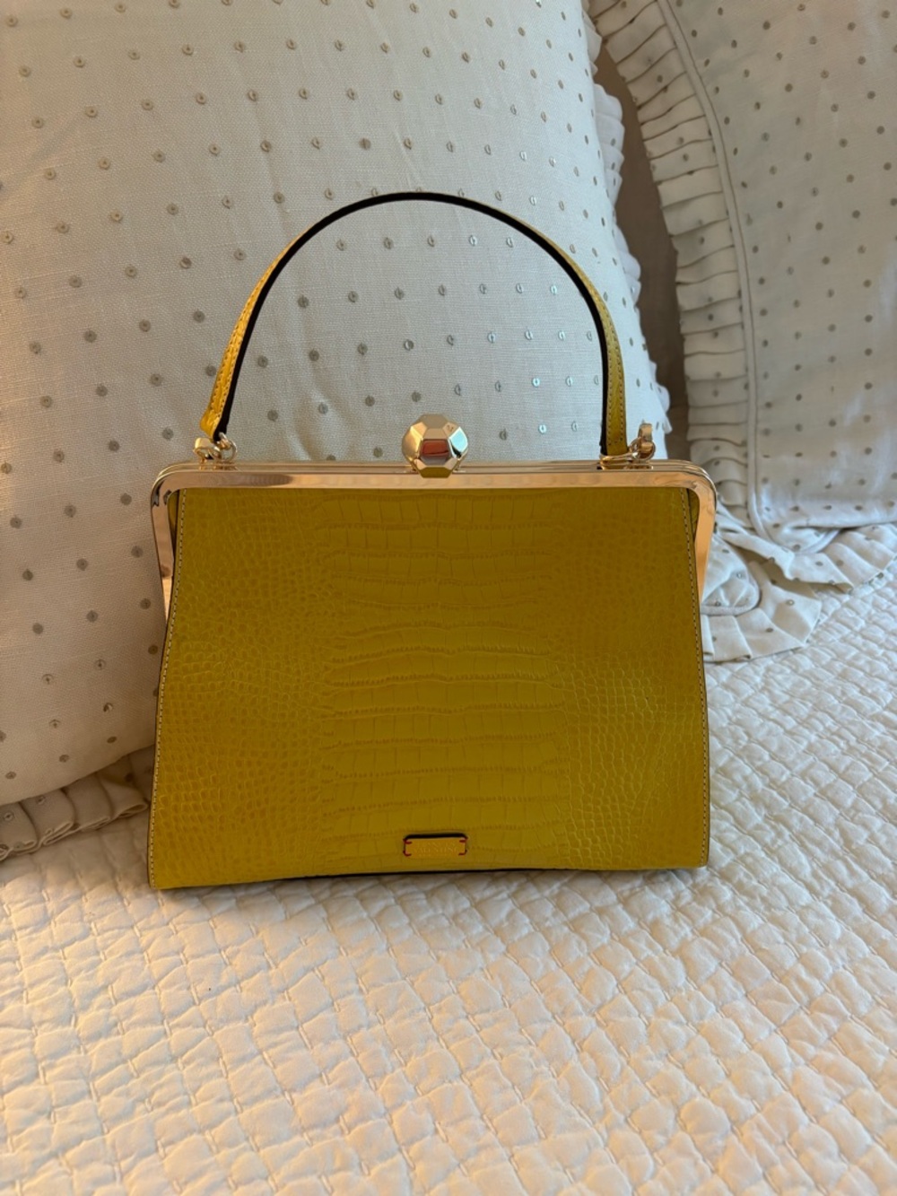 Frances Valentine Leather Frame Bag in Yellow